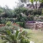 La Fonte Dell'ulivo 3