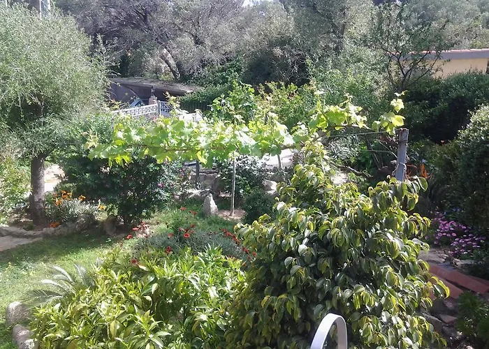 Oda ve Kahvaltı La Fonte Dell'ulivo 3 4*
