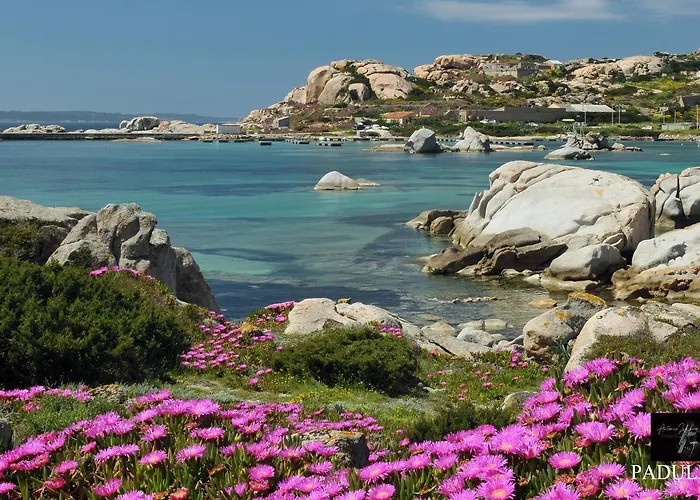 La Fonte Dell'ulivo 3 La Maddalena (Sassari)