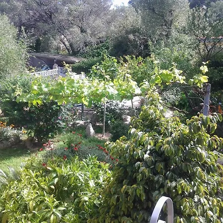 Couette-café La Fonte Dell'ulivo 3 4*