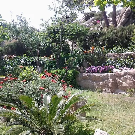 La Fonte Dell'ulivo 3