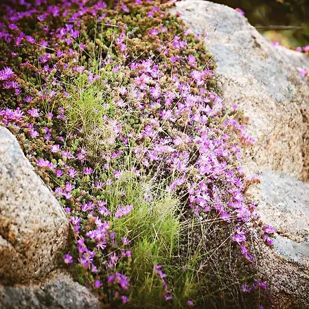 Frühstückspension La Fonte Dell'ulivo 3