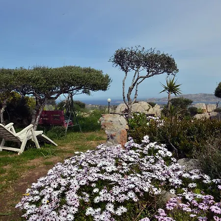 La Fonte Dell'ulivo 3 Bed and breakfast 3*