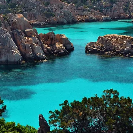 La Fonte Dell'ulivo 3