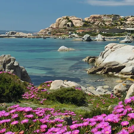 La Fonte Dell'ulivo 3 La Maddalena (Sassari)