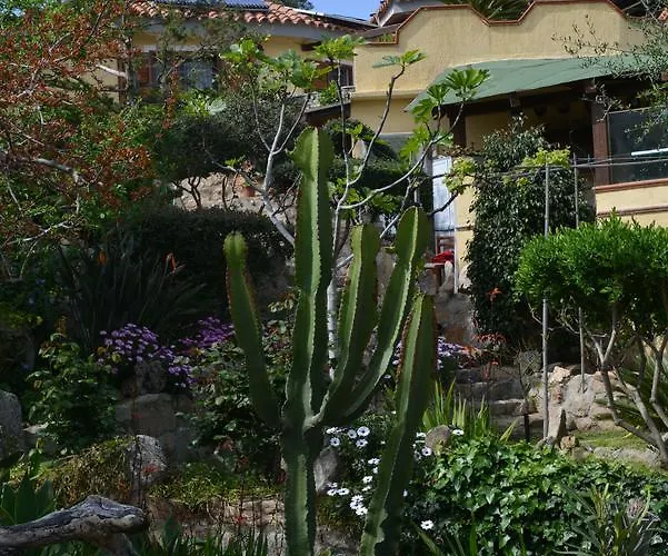 住宿加早餐酒店 La Fonte Dell'ulivo 3